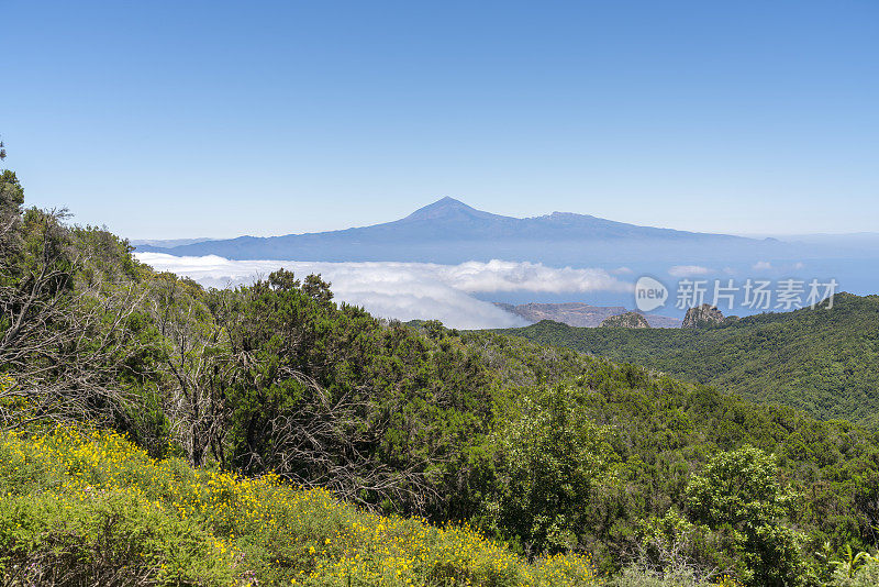 Valle Gran Rey - El Teide火山的远景